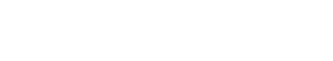 logo light