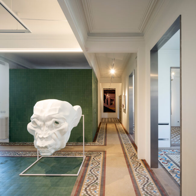 Foto Proyecto Galería Habitable Annona arquitectura
